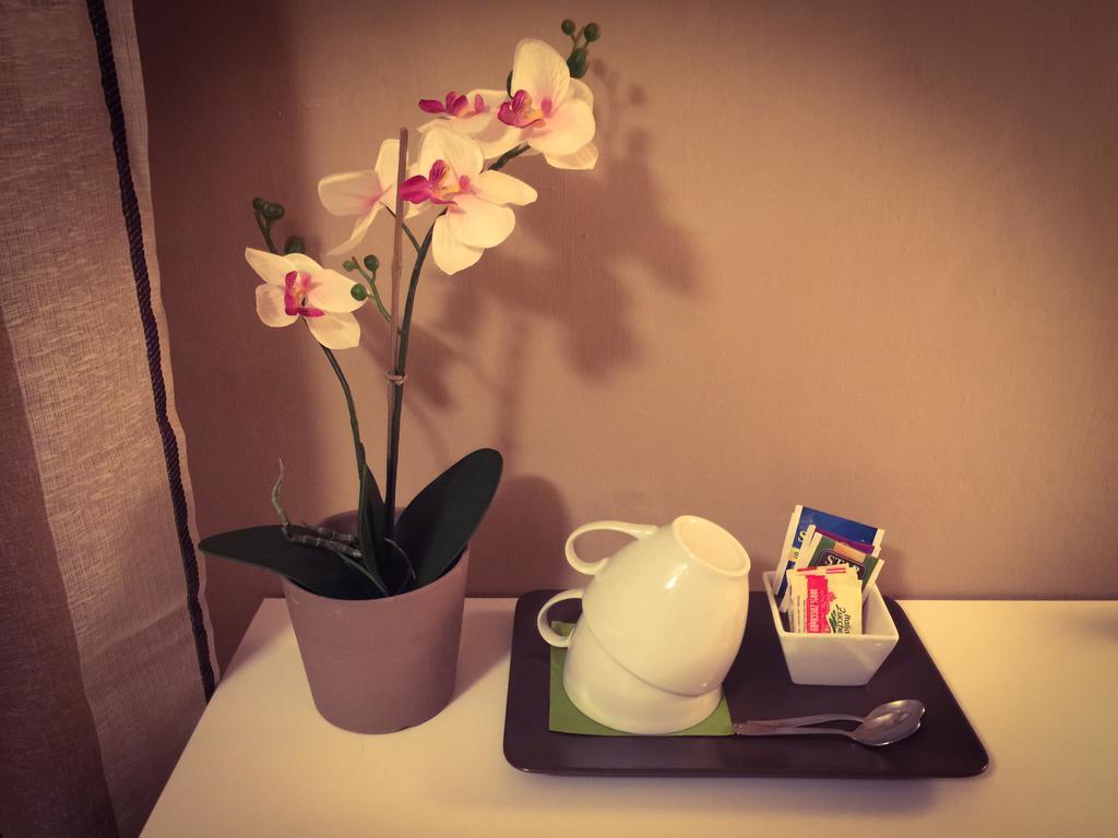 Bed & Breakfast Central Pisa
